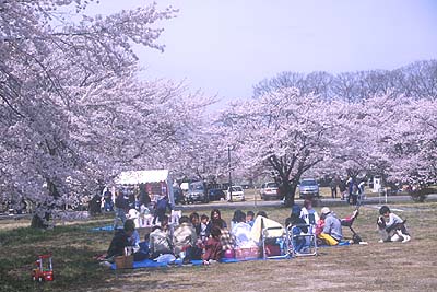 ���㎩�q���D�����Ԓn��������̖���