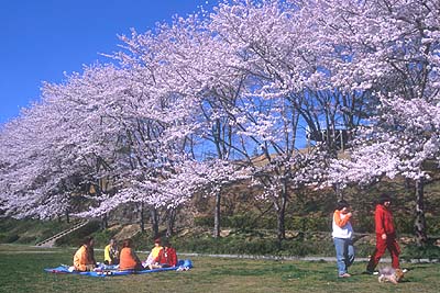 �Ζ؂ɂ��銋���R����