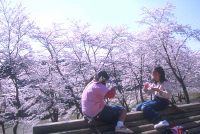 �Ζ؂ɂ��銋���R����