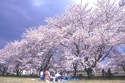 ���㎩�q���D�����Ԓn��������̖���