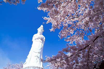 �����R���ɂ��镽�a�ω�