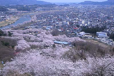 �����R������D���s�X�n�Ɣ��ΐ��]��