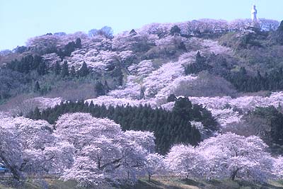 ��������������������]��