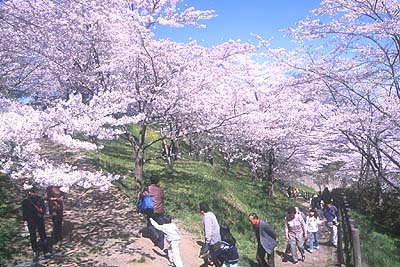 �����O�̊ۓ����Ζ�