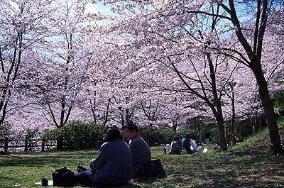 �����O�̊ۓ����ŎB�e