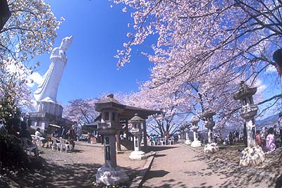 �����R��