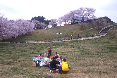 ���z�̑��͐Â��ȉԌ����y���߂�