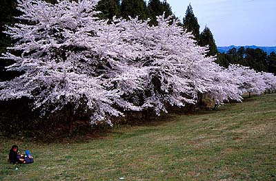 ���z�̑��͐Â��ȉԌ����y���߂�