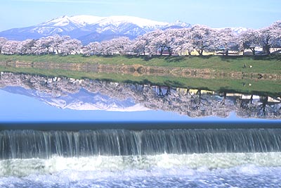 ��͌������̔B�_������c��̑���