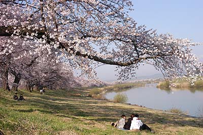 ������������㗬����̈�ڐ�{��