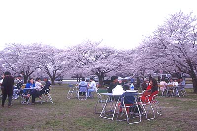 ���㎩�q���D�����Ԓn��������̖���