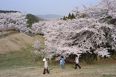 ���z�̑��͐Â��ȉԌ����y���߂�