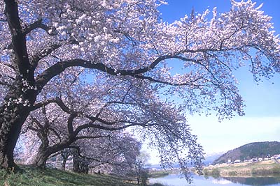 ������������㗬����̈�ڐ�{��