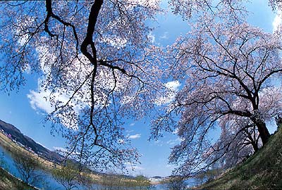 ������������㗬���牺�����B�e�i����j