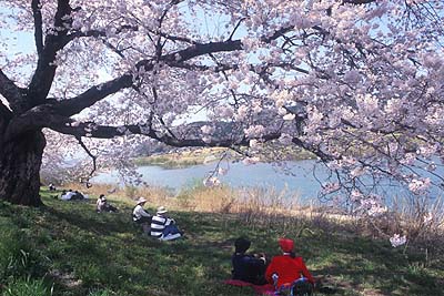 ������������㗬����̈�ڐ�{��