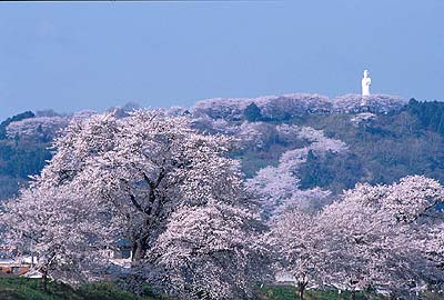 �ēc�勴�㗬�����ڐ�{���ƑD���隬������]��